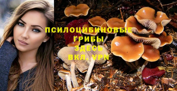 spice Беломорск