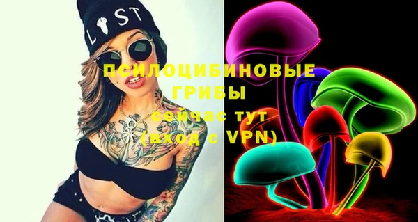 марки nbome Белокуриха