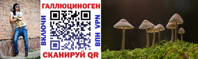 Галлюциногенные грибы Psilocybe  Коркино 